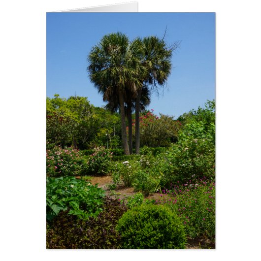 Boone Hall Garden Cards (Front)