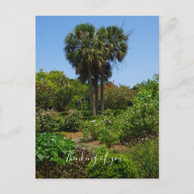 Boone Hall Garden Thinking Of You Postcard (Front)