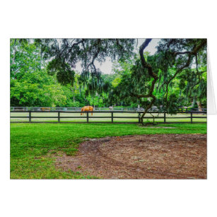 Boone Hall Stables Greeting Card