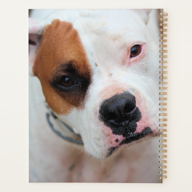 Boop 3 Ring Binder Planner (Back)