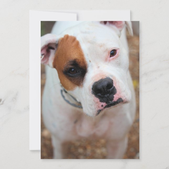 Boop Invitation (Front)