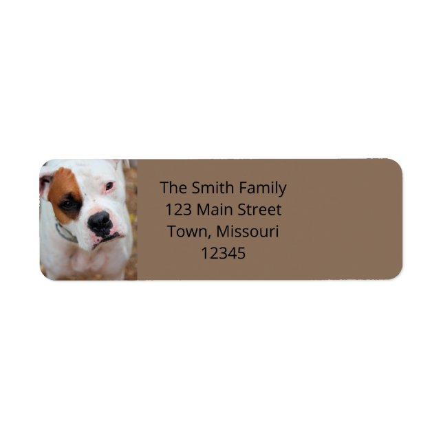 Boop Label (Front)
