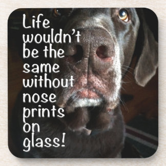Boop My Nose Chocolate Lab Close-Up Photograph Beverage Coaster