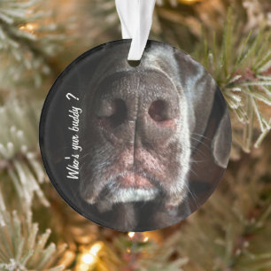 Boop My Nose Chocolate Lab Nose Photo Custom Ornament
