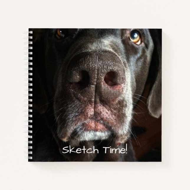 Boop My Nose Labrador Retriever Close-Up Photo Notebook (Front)