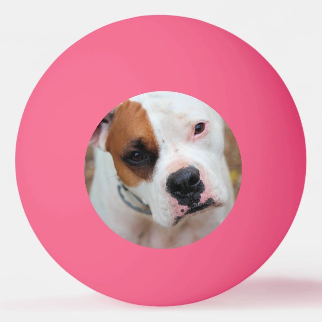 Boop Ping Pong Ball (Front)