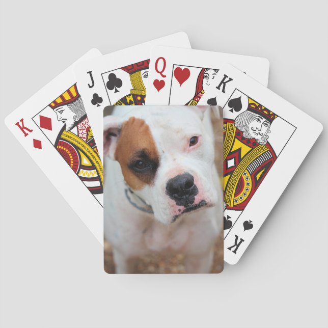 Boop Poker Cards (Back)