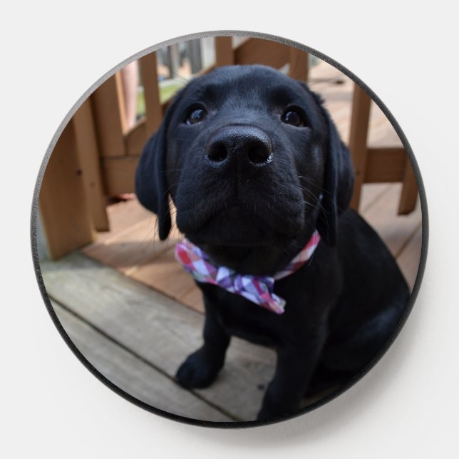 Boop the Snoot Phone Grip (Popsocket)