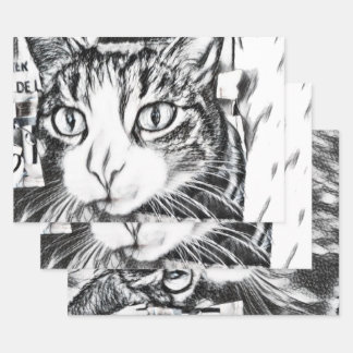 Boo's Sketch Wrapping Paper Sheet Set