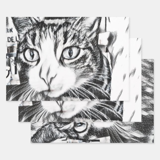 Boo's Sketch Wrapping Paper Sheet Set (Set)