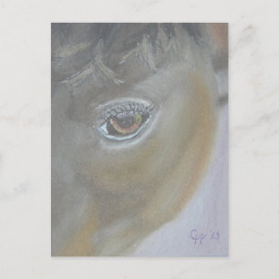 Boost My Ego - Horse Painting Postcard