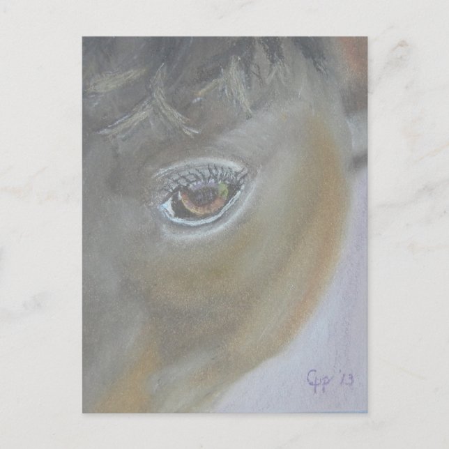 Boost My Ego - Horse Painting Postcard (Front)