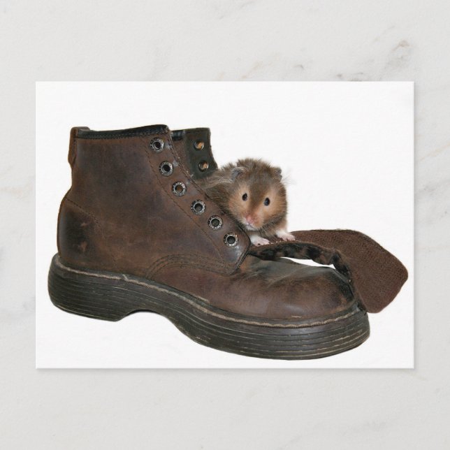 Boot pet postcard (Front)