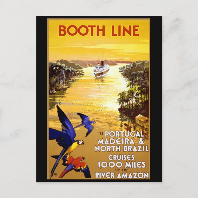 Booth Line to Portugal Madeira Postcard (Front)