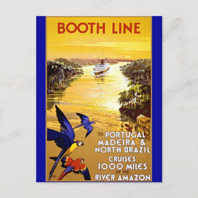 Booth Line to Portugal Madeira Postcard (Front)