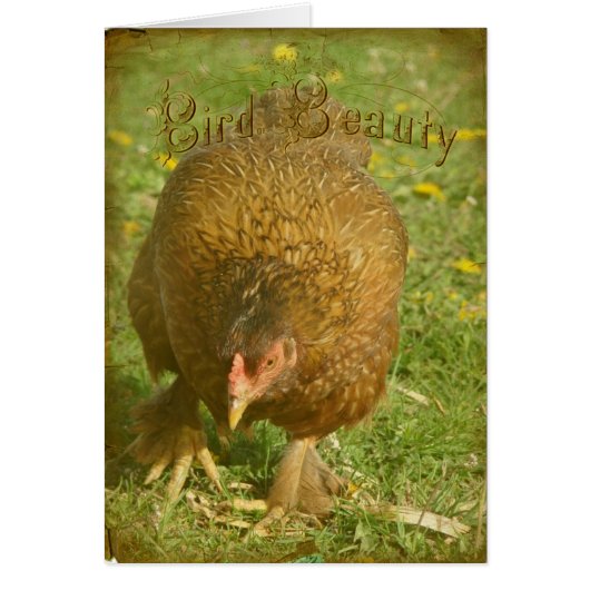 Boots a Bird of Beauty Cards (Front)