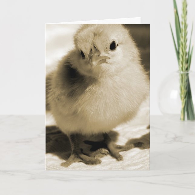 Boot's Chick Card (Front)