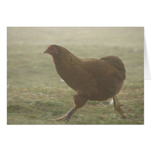 Boots in the Fog (Front Horizontal)