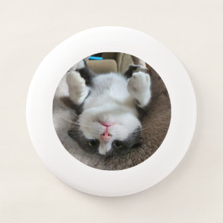 Boots the Cat Frisbee