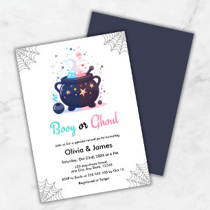 Booy or Ghoul Cauldron Halloween Gender Reveal  Invitation
