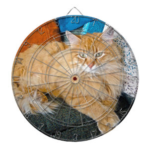 Boppy Dartboard With Darts