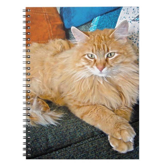 Boppy Notebook (Front)