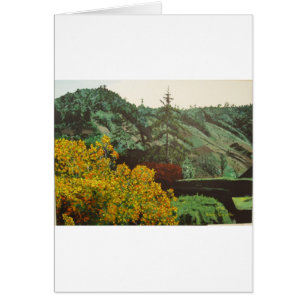 Boquete, Panama#3 Painting