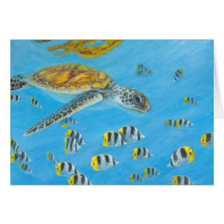 bora bora turtle with butterfly fish cards