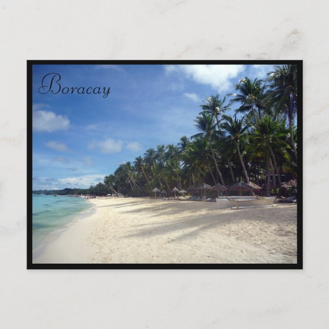 boracay beach palms postcard (Front)