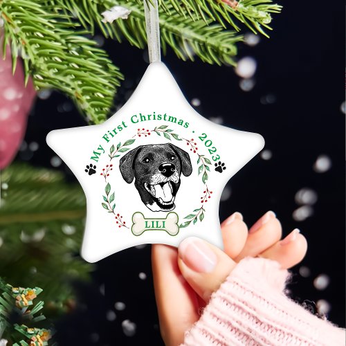 Borador Dog Personalized Hand Drawing Ceramic Ornament