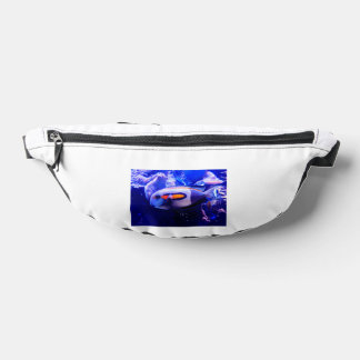 borapahlsy fanny pack