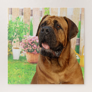 Bordeaux Mastiff Jigsaw Puzzle
