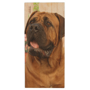 Bordeaux Mastiff Wood USB Flash Drive