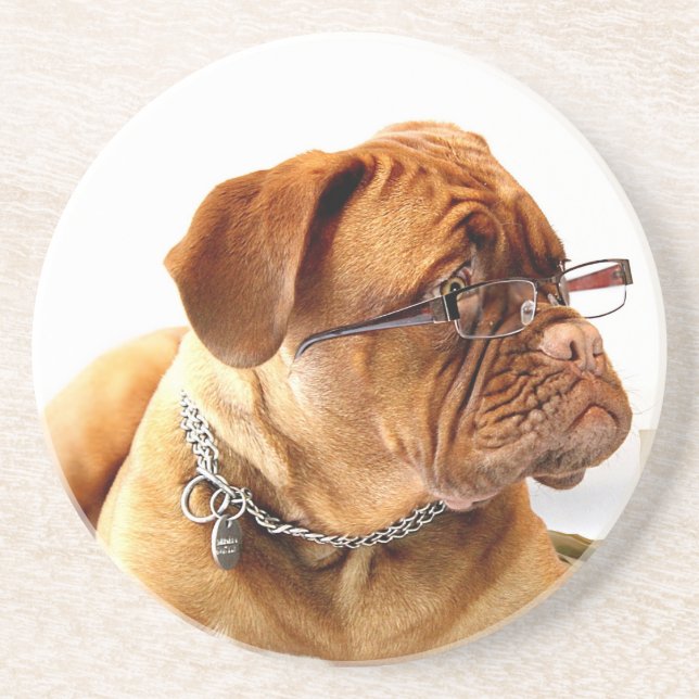 Bordeauxdog Drink Coaster (Front)