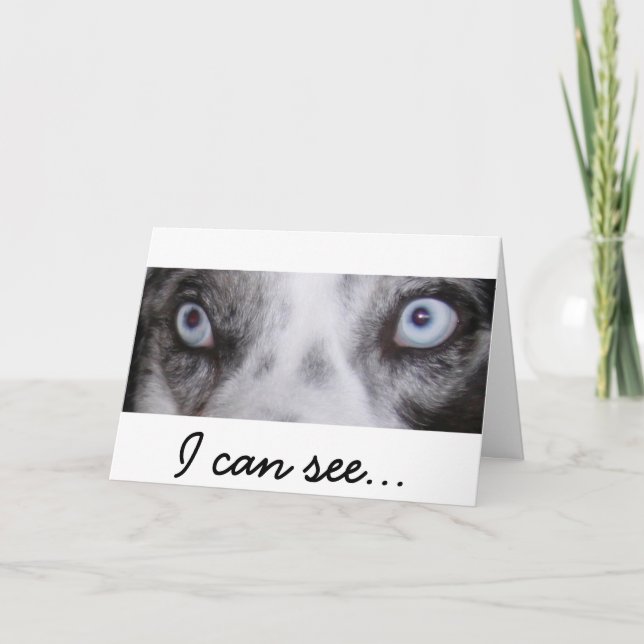 Border-Aussie Birthday Card (Front)