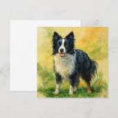 Border Collie (Front/Back)