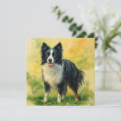 Border Collie (Standing Front)
