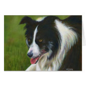 Border Collie (Front Horizontal)
