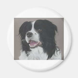 Border Collie 3 Magnet