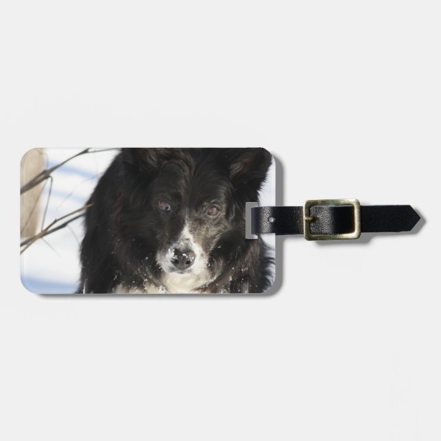border-collie-8.jpg luggage tag (Front Horizontal)
