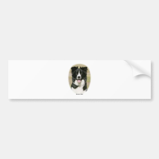 Border Collie 9Y411D-009 Bumper Sticker (Front)