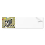 Border Collie Agility  Bumper Sticker