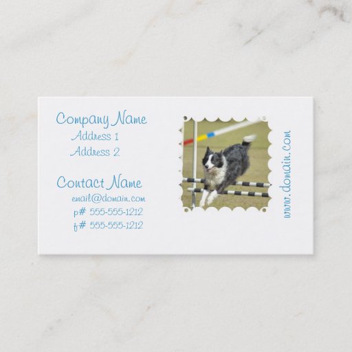 Customizable Border Collie Agility Business Cards