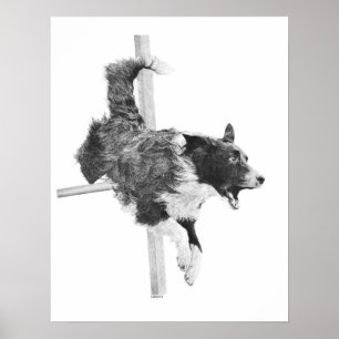Border Collie Agility Dog Canine Art Dog Drawing Poster