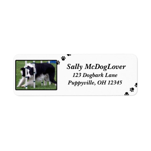 Border Collie Agility Label (Front)
