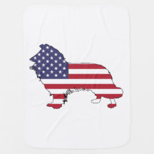 Border collie - "american flag"