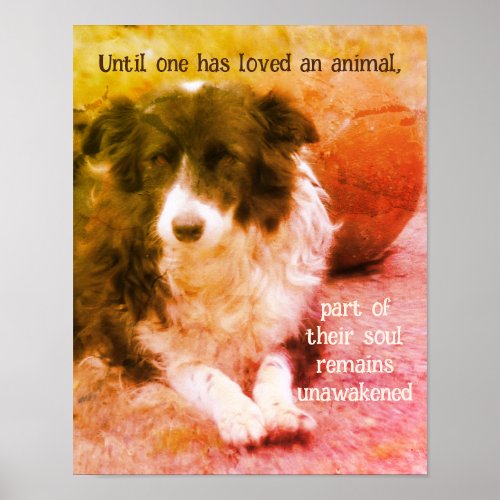 Border Collie And Ball Dog Art Inspirational Poster