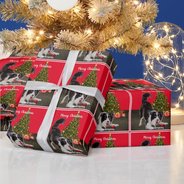 Border Collie and Christmas Tree  Wrapping Paper (Holidays)