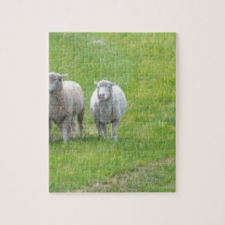 Border Collie and Ewe Jigsaw Puzzle