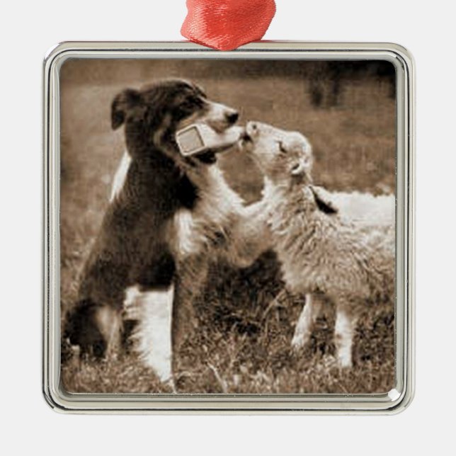 "Border Collie and Lamb"~Border Collie Ornament (Front)
